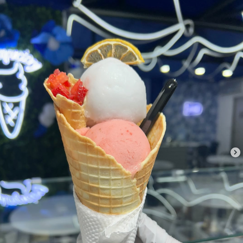 Igelato sorbetto Gelice Factory GF web 500 x 500 px (11)